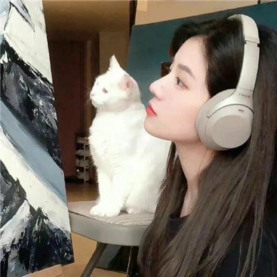 红粉舵爷